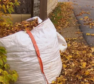 Jēkabpilieši izmanto iespēju bez maksas nodot rudens lapas