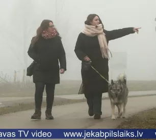 Vai gaidīt, kamēr sakodīs? Jēkabpiliete šokā par piedzīvoto Mežaparkā