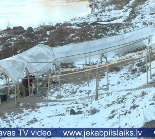 Avotiņš Salas pagastā rada ceļu satiksmes drošības riskus 