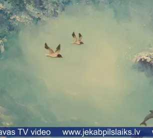 Ukrainietes Latvijā sevi izpauž mākslā un mūzikā