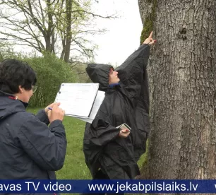 Tadenavā māca novērtēt veco koku stāvokli un nozīmi