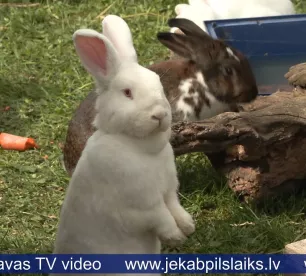 Sesto reizi Sēlijas uzņēmēji un mājražotāji pulcējas tūrisma tirgū