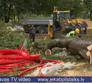 Tauta ziņo: Jēkabpilī, veicot parka pārbūvi, nozāģē daļu koku
