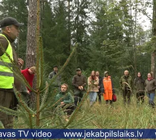 Oglekļa tirgus sekmē gan ekonomiku, gan dabas daudzveidību