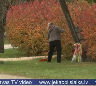 Iedzīvotāji neizpratnē – kā sagrābt lapas, ja tās vēl kokos?