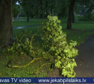Jēkabpils novadā vētra lauzusi kokus un traucējusi elektroapgādi