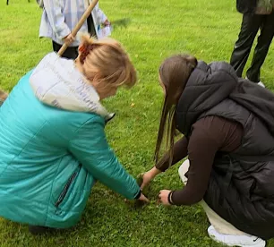 Līvānu Meža skvērā stāda kokus