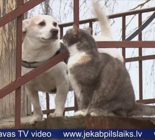 Būs stingrākas prasības mājdzīvnieku turētājiem
