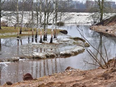 Jēkabpils Laiks: Jēkabpils ziņas