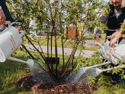 Jēkabpils Laiks: Jēkabpils ziņas