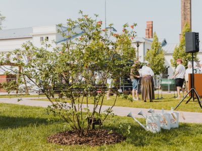 Jēkabpils Laiks: Jēkabpils ziņas