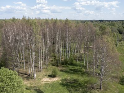 Jēkabpils Laiks: Jēkabpils ziņas