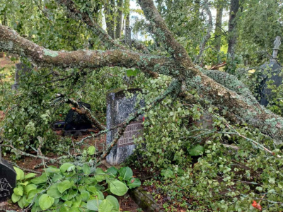 Jēkabpils Laiks: Jēkabpils ziņas