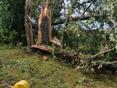 Jēkabpils Laiks: Jēkabpils ziņas