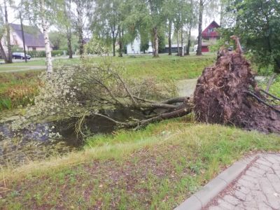 Jēkabpils Laiks: Jēkabpils ziņas