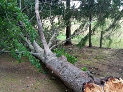 Jēkabpils Laiks: Jēkabpils ziņas