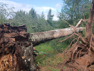 Jēkabpils Laiks: Jēkabpils ziņas