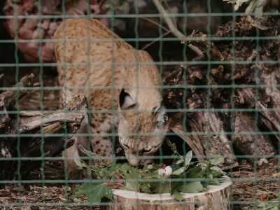 Jēkabpils Laiks: Jēkabpils ziņas
