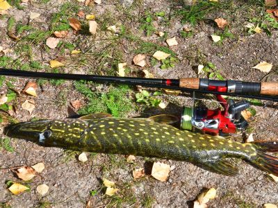 Jēkabpils Laiks: Jēkabpils ziņas