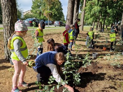 Jēkabpils Laiks: Jēkabpils ziņas