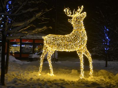 Jēkabpils Laiks: Jēkabpils ziņas