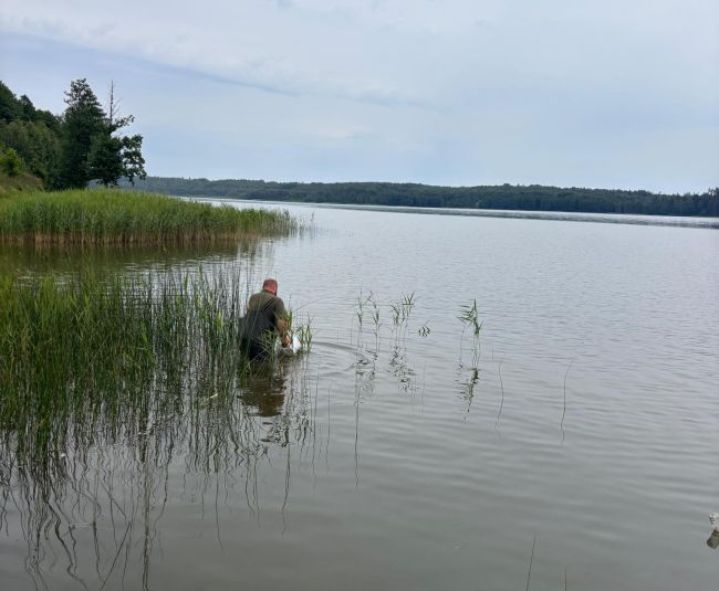 Jēkabpils novada ūdenstilpēs papildināti zivju resursi 