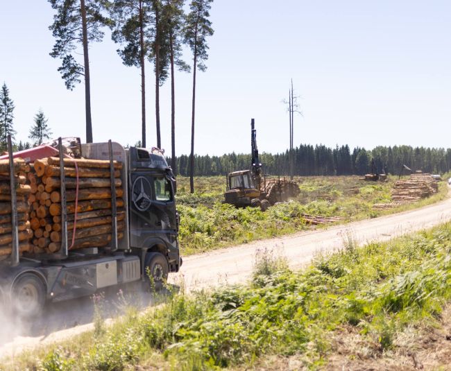 Notiek pirmie atmežošanas darbi poligona “Sēlija” izveidei
