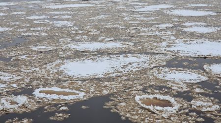 Plūdi Jēkabpilī 12.01.2023