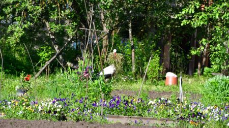 Stiprās lietavas nodarījušas postījumus Atašienes pagastā 