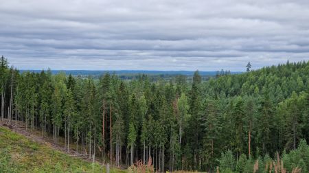 11 sievietes dodas 29 kilometru garā pārgājienā