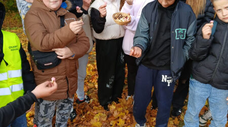 Izaicinājumu “3 kilometri un 30 sekundes” Jēkabpils novadā pieveikuši teju 1000 dalībnieki