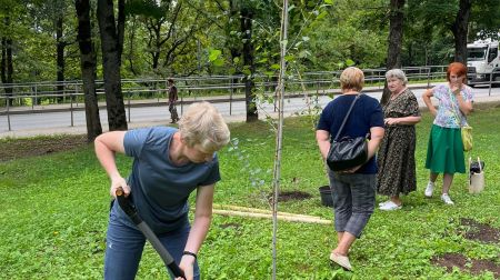 Aknīstes Sēļu parkā veido dekoratīvos stādījumus 