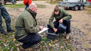 Zivju mazuļu laišana Radžu ūdenskrātuvē