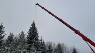 Izvēlēta un no meža atvesta Jēkabpils pilsētas galvenā Ziemassvētku egle