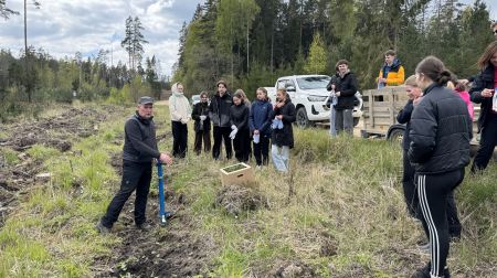 Jēkabpils skolēni Kūku pagastā stāda mežu 