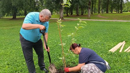 Aknīstes Sēļu parkā veido dekoratīvos stādījumus 