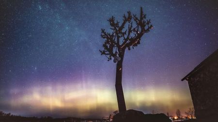 Jēkabpils novadā un citviet Latvijā novērota ziemeļblāzma