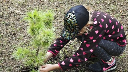 Līvānu Meža parks Fabrikas ielā kļuvis daudzveidīgāks