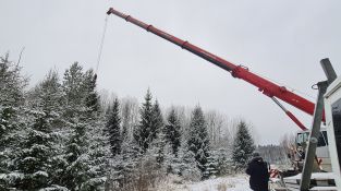 Izvēlēta un no meža atvesta Jēkabpils pilsētas galvenā Ziemassvētku egle