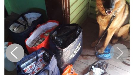 Mūžībā aizgājis Valsts policijas suns Darvins