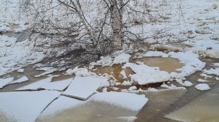 Jēkabpils 12.janvārī