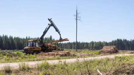 Notiek pirmie atmežošanas darbi poligona “Sēlija” izveidei