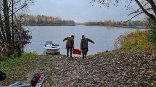 Zivju mazuļu laišana Radžu ūdenskrātuvē