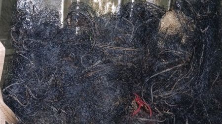 Nelikumīga zveja Daugavā: Jēkabpils novadā pieķerti divi pārkāpēji