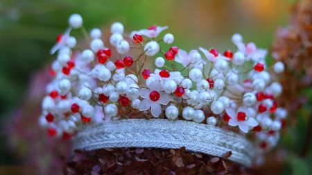 Zasā apskatāmi 11 Sēlijas kāzu kroņi