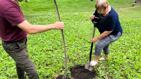 Aknīstes Sēļu parkā veido dekoratīvos stādījumus 