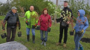 Jēkabpilī iestādīti 40 ceriņi