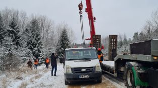 Izvēlēta un no meža atvesta Jēkabpils pilsētas galvenā Ziemassvētku egle