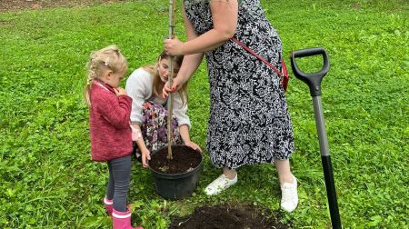 Aknīstes Sēļu parkā veido dekoratīvos stādījumus 
