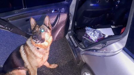 Mūžībā aizgājis Valsts policijas suns Darvins